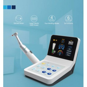 WESTCODE Apex ve Endomotor